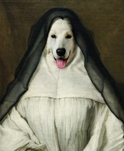 The Sassy Nun