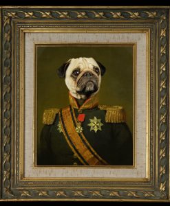 Dom Freddy Framed
