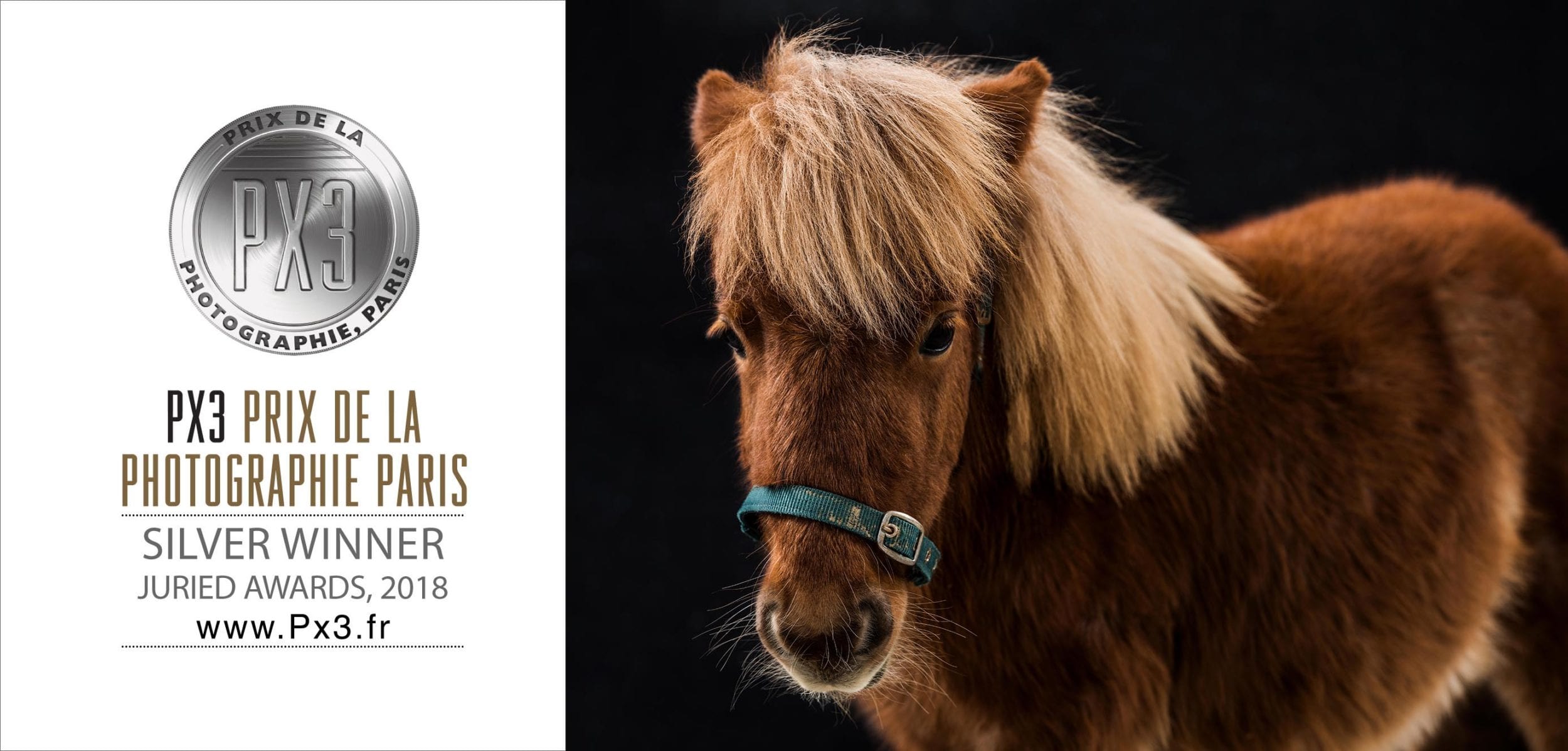 Px3 2018 Silver Joao Carlos